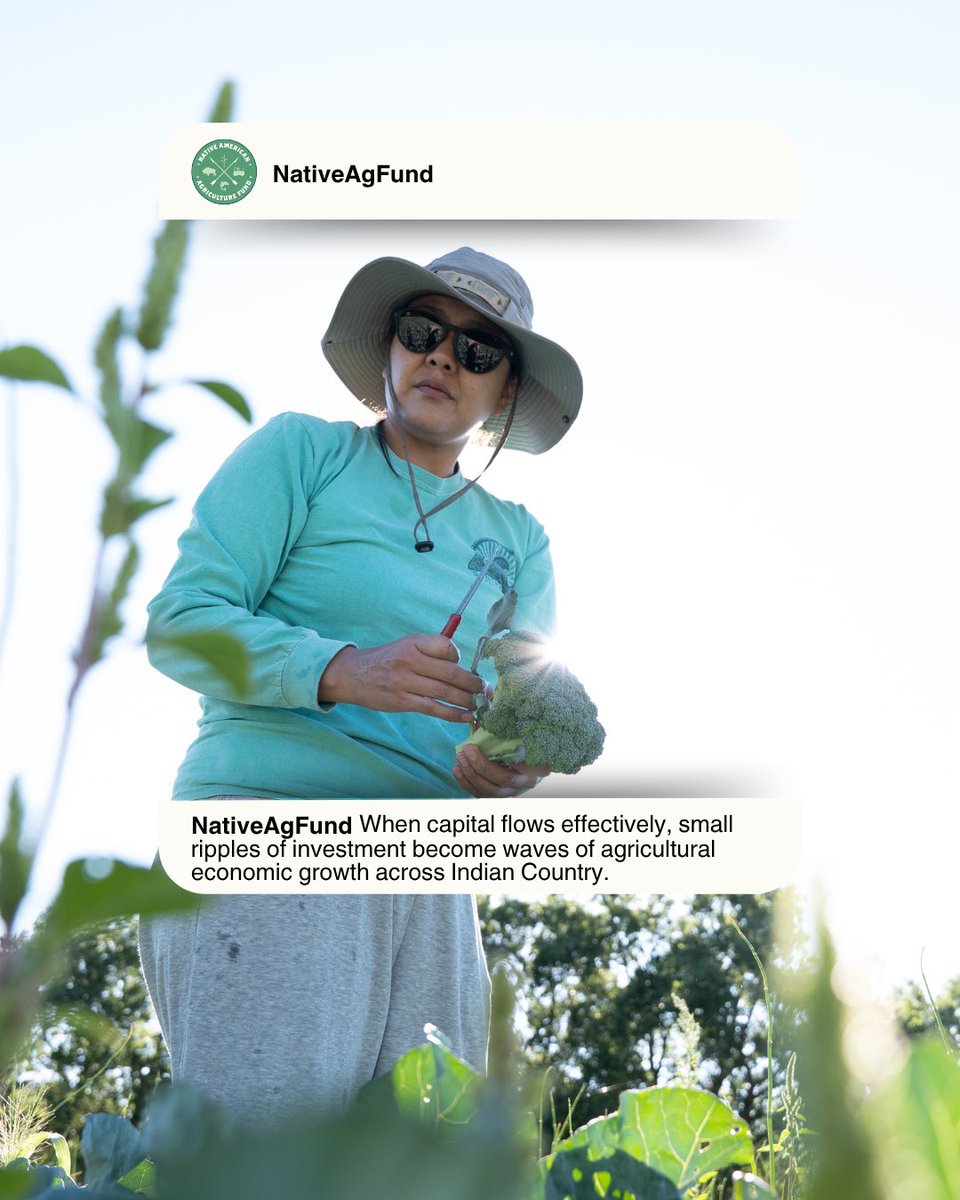 Native American Agriculture Fund tweet media