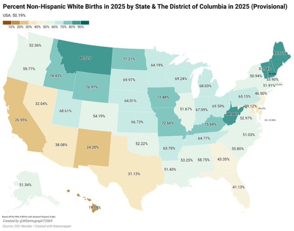 Thomas Chadowski tweet media