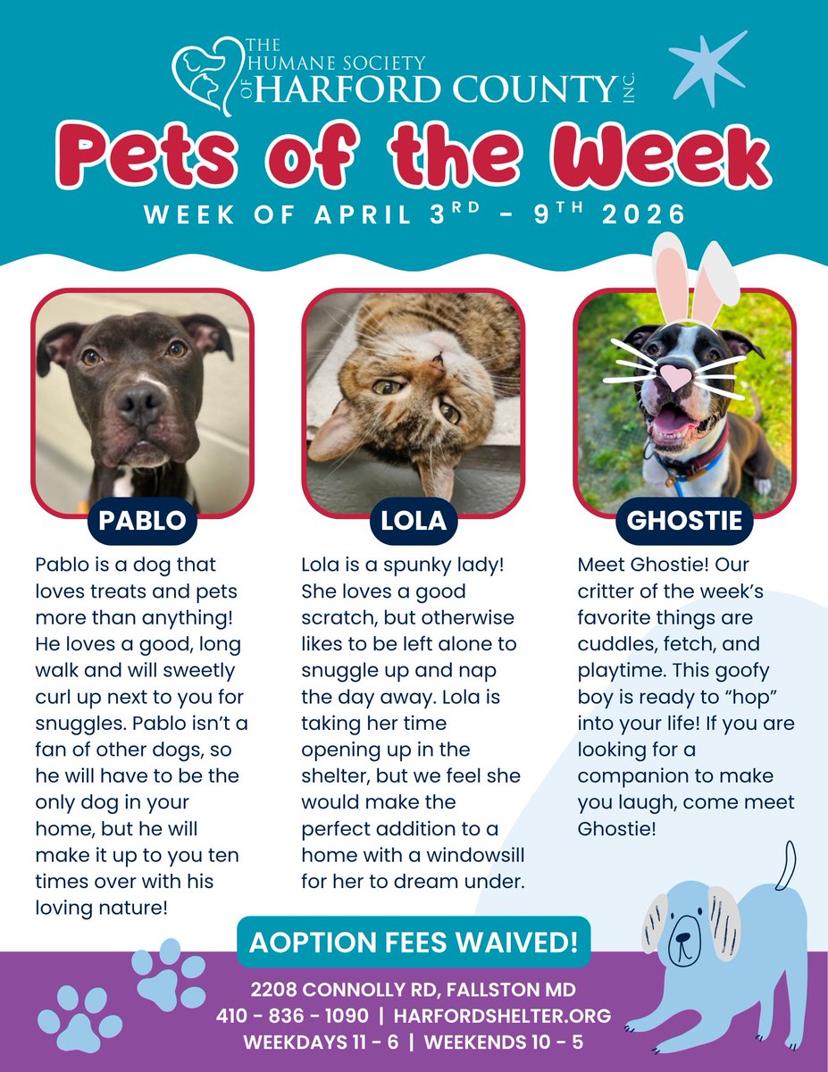 Harford Humane🐾 tweet media