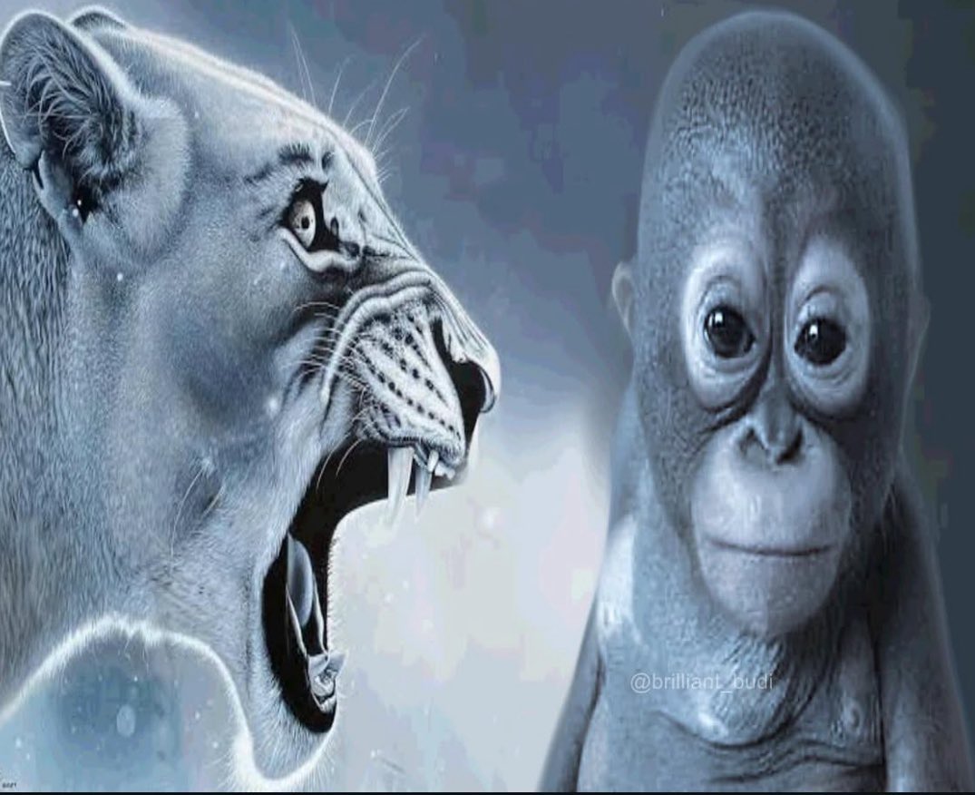 aeoncist's tweet image. told my group member i was #skipping class #again and she sighed …