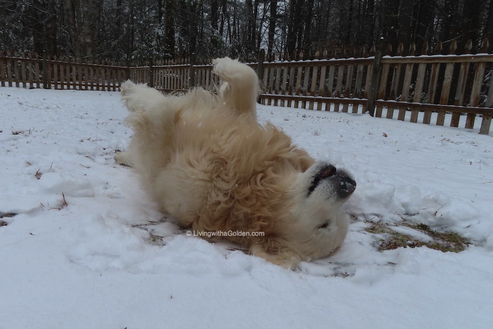 Chuck Billy & Asa tweet media