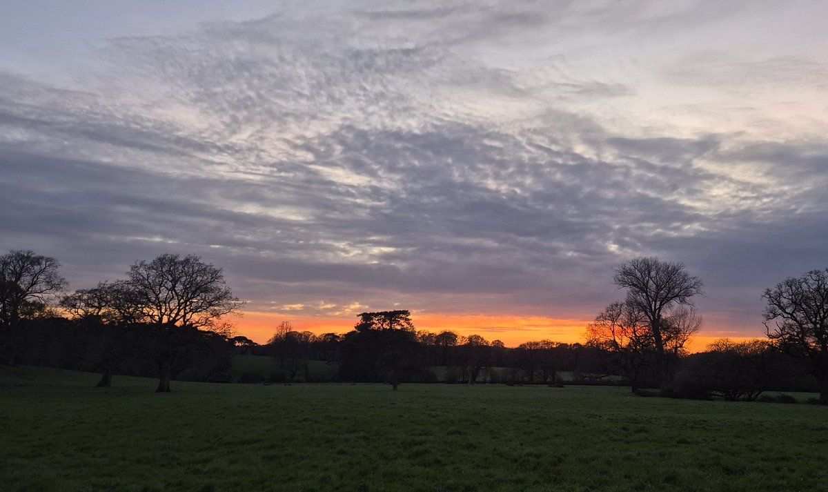 Ozymandiasdust's tweet image. Tonight's Devon sunset...☀️ #Devon