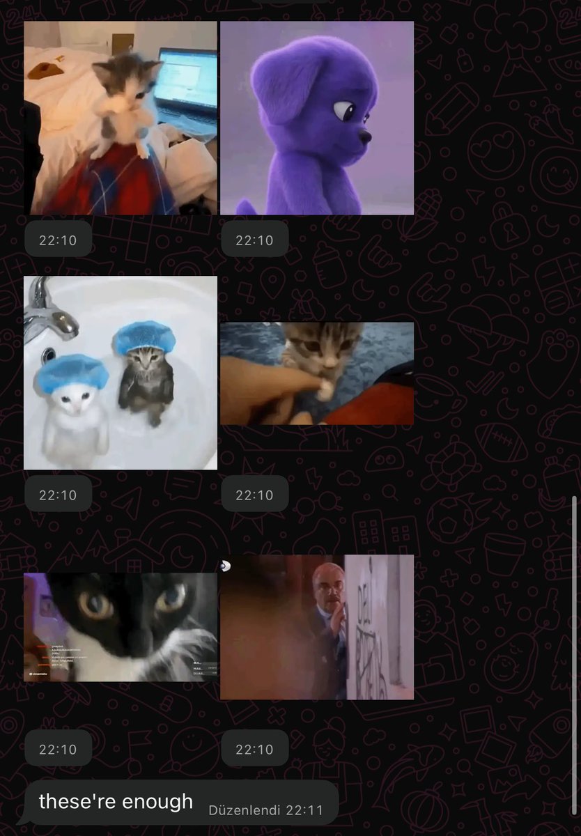 poly🇹🇷 tweet media