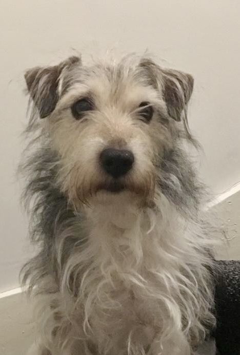 Michael Racers tweet media