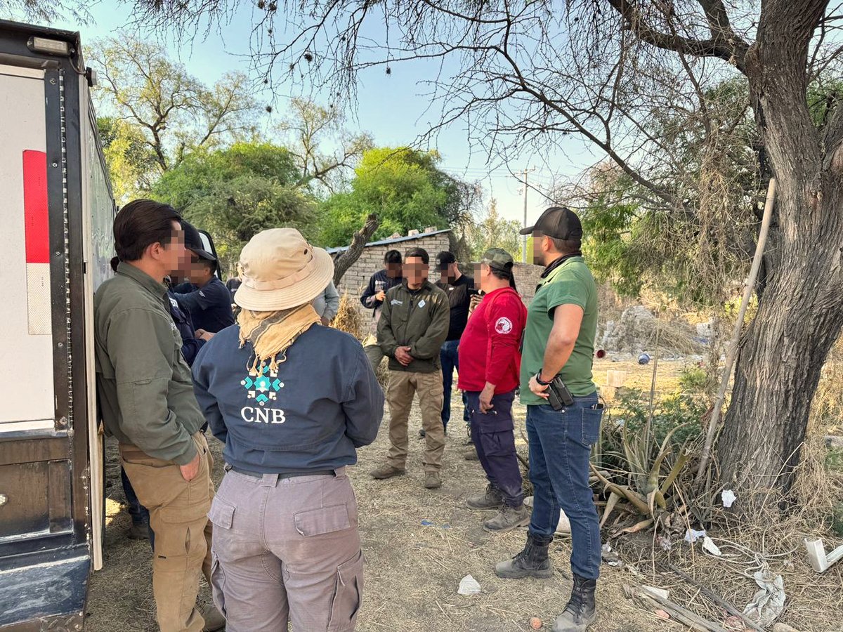 Comisión Nal. de Búsqueda Mx tweet media