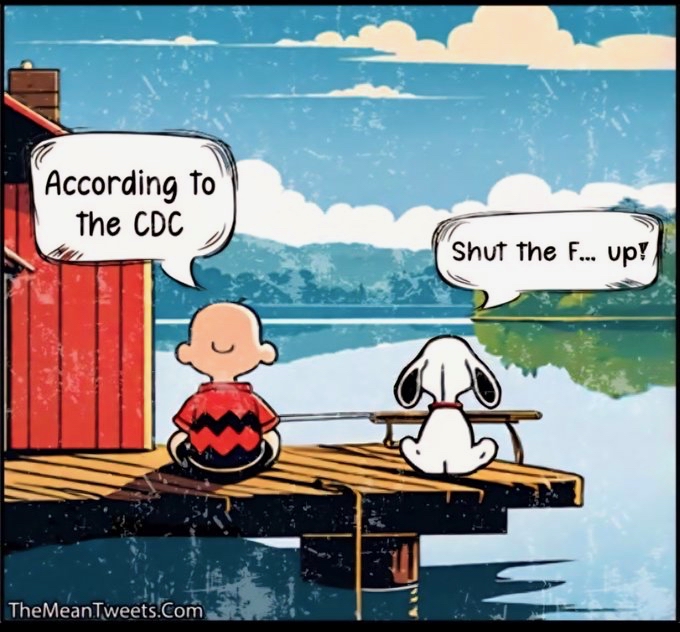 SeeLight tweet media