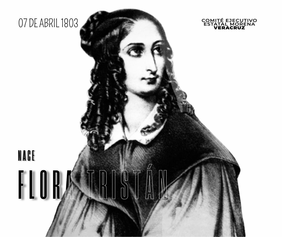 Comité Ejecutivo Estatal morena Veracruz tweet media