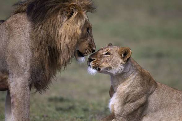 Skald Of Pints tweet media