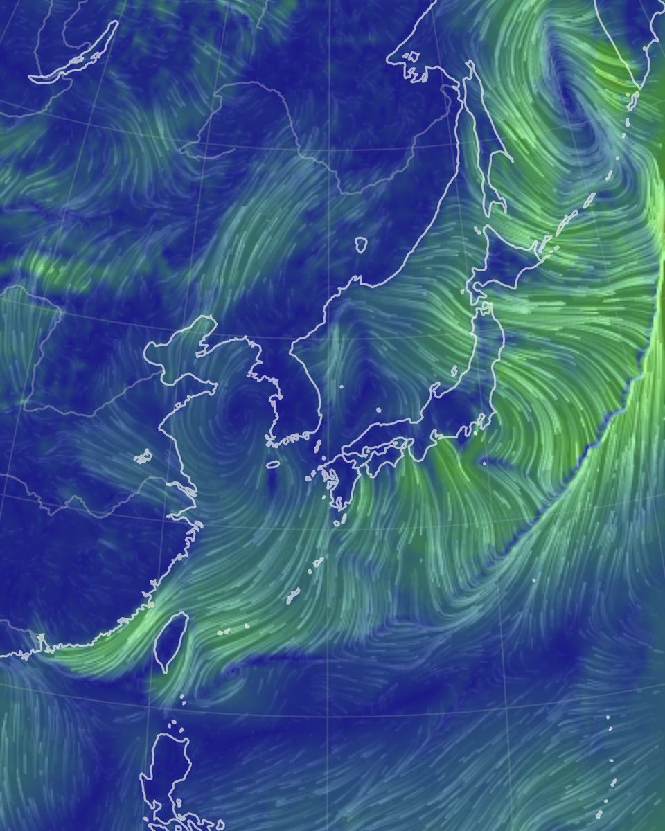 マッキー tweet media