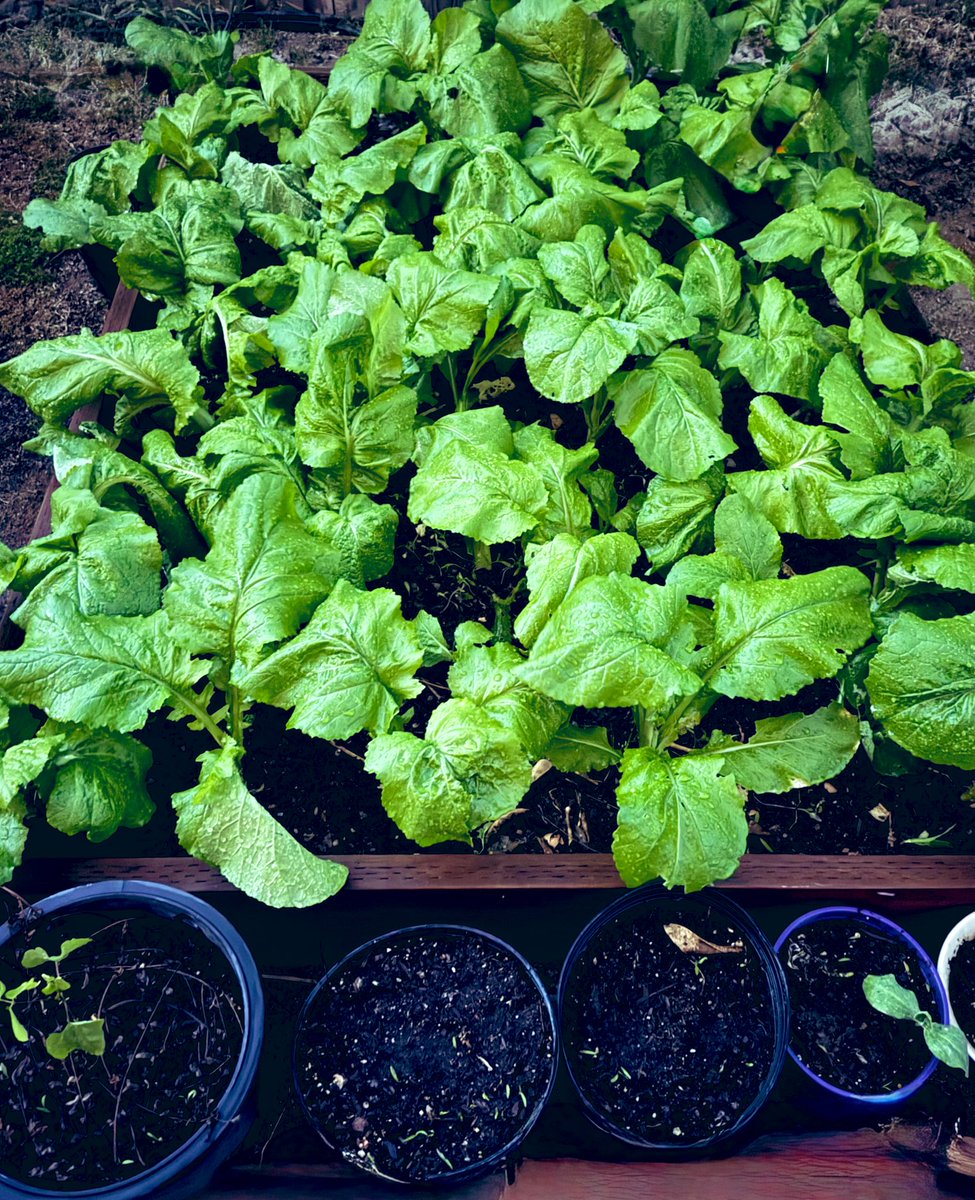 साधना(Sadhana) tweet media