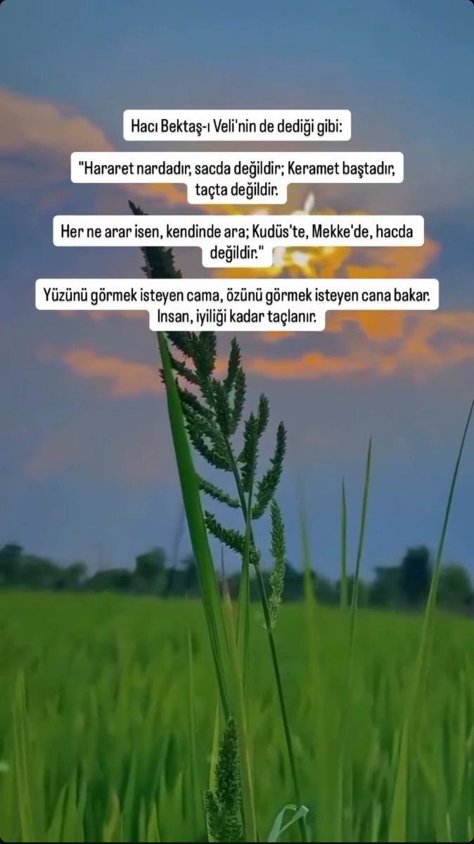 Mustafa Ateş tweet media