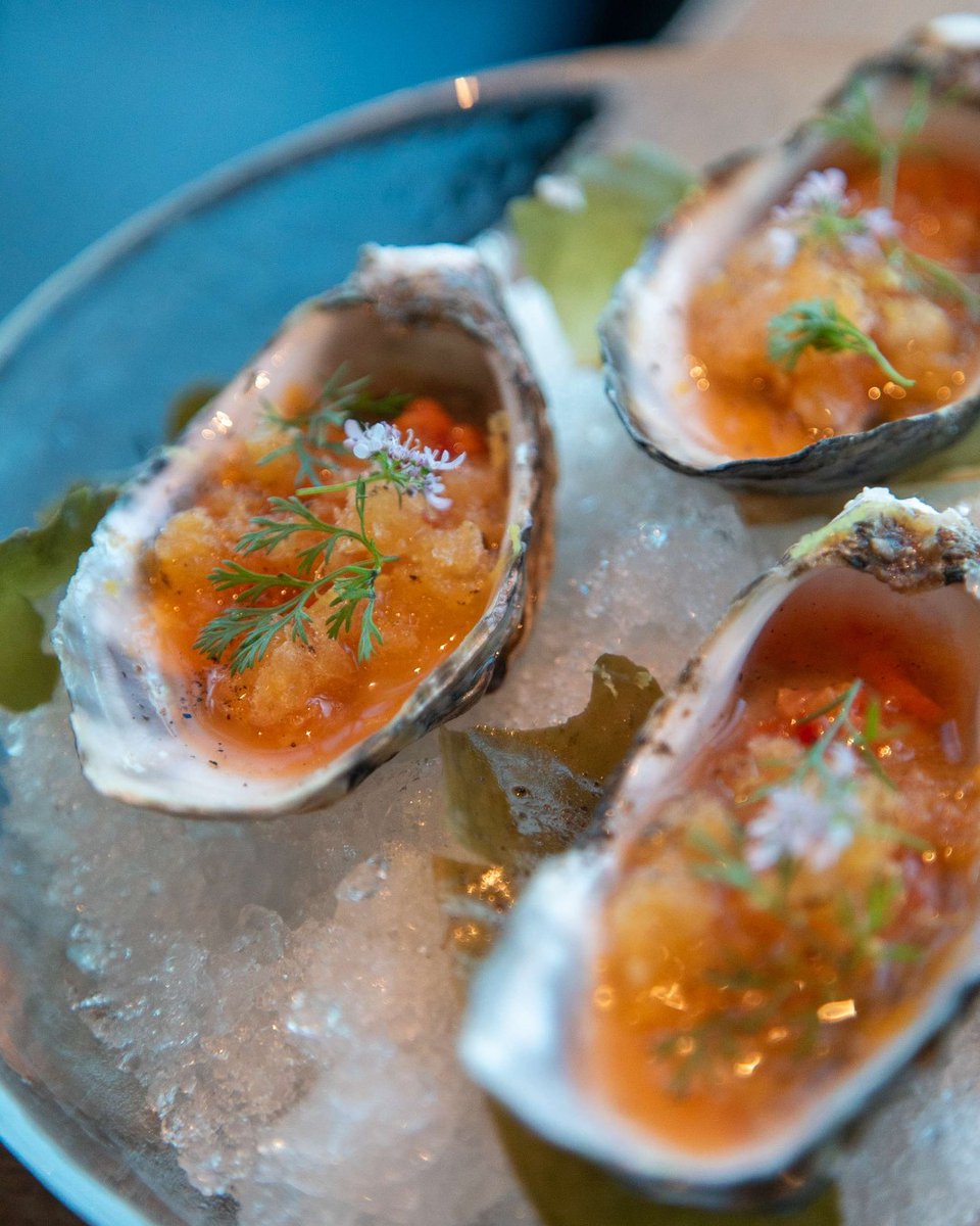 71 Above tweet media