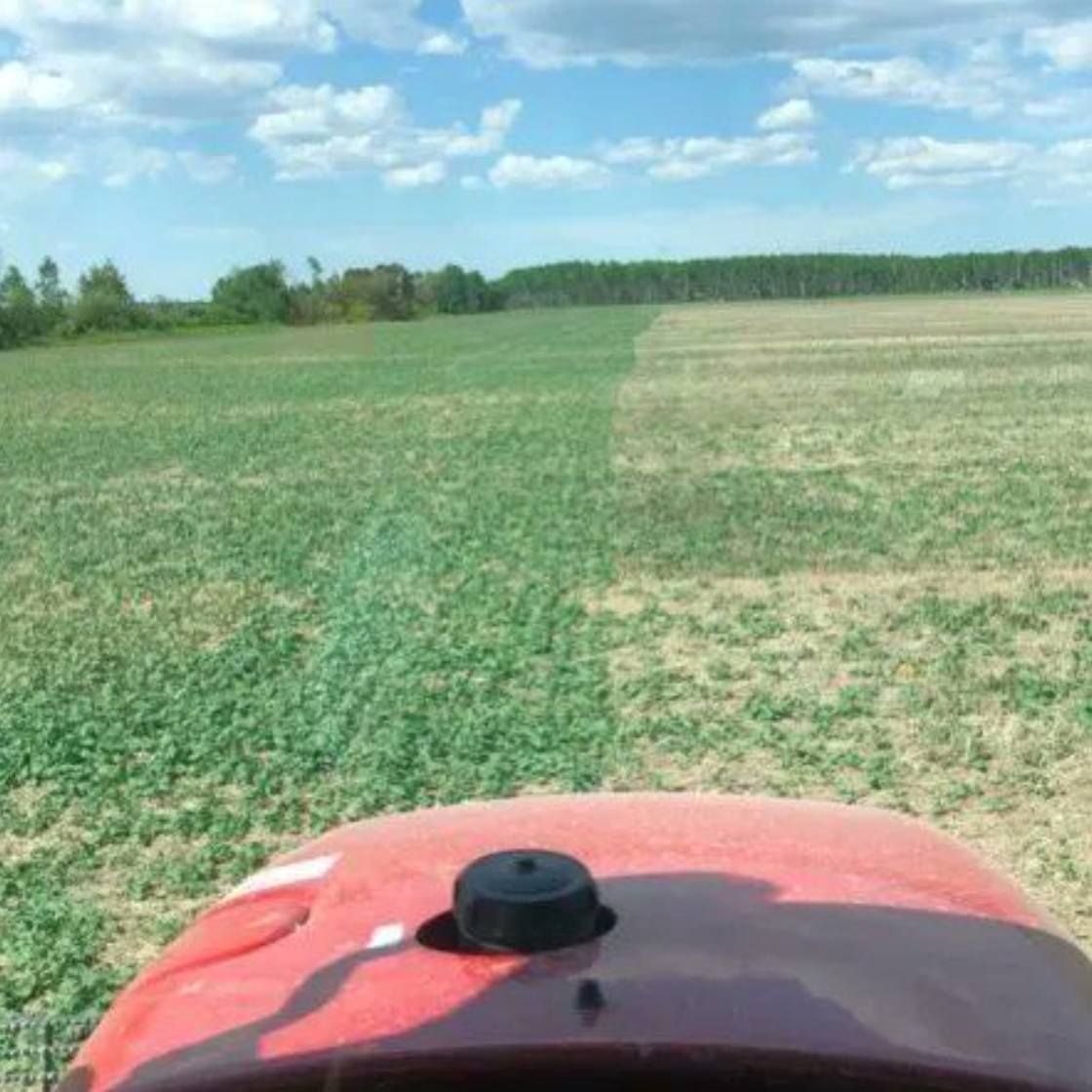 Canadian Agronomics tweet media