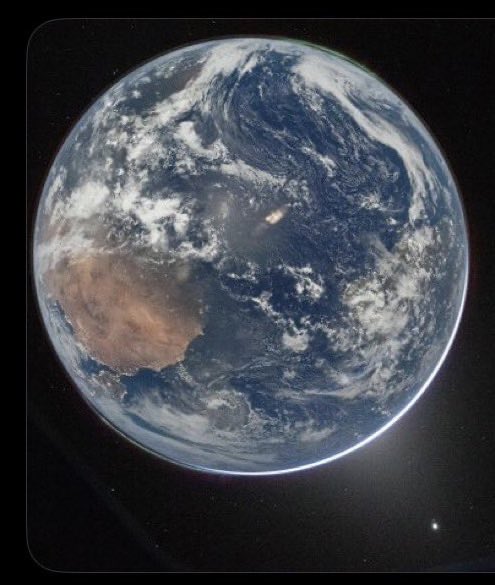 Sentenza tweet media