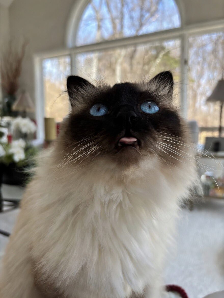 Elizabeth Griffith tweet media