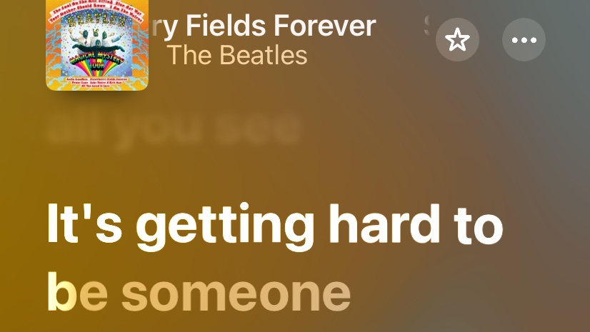 ⋆˚꩜。 tweet media