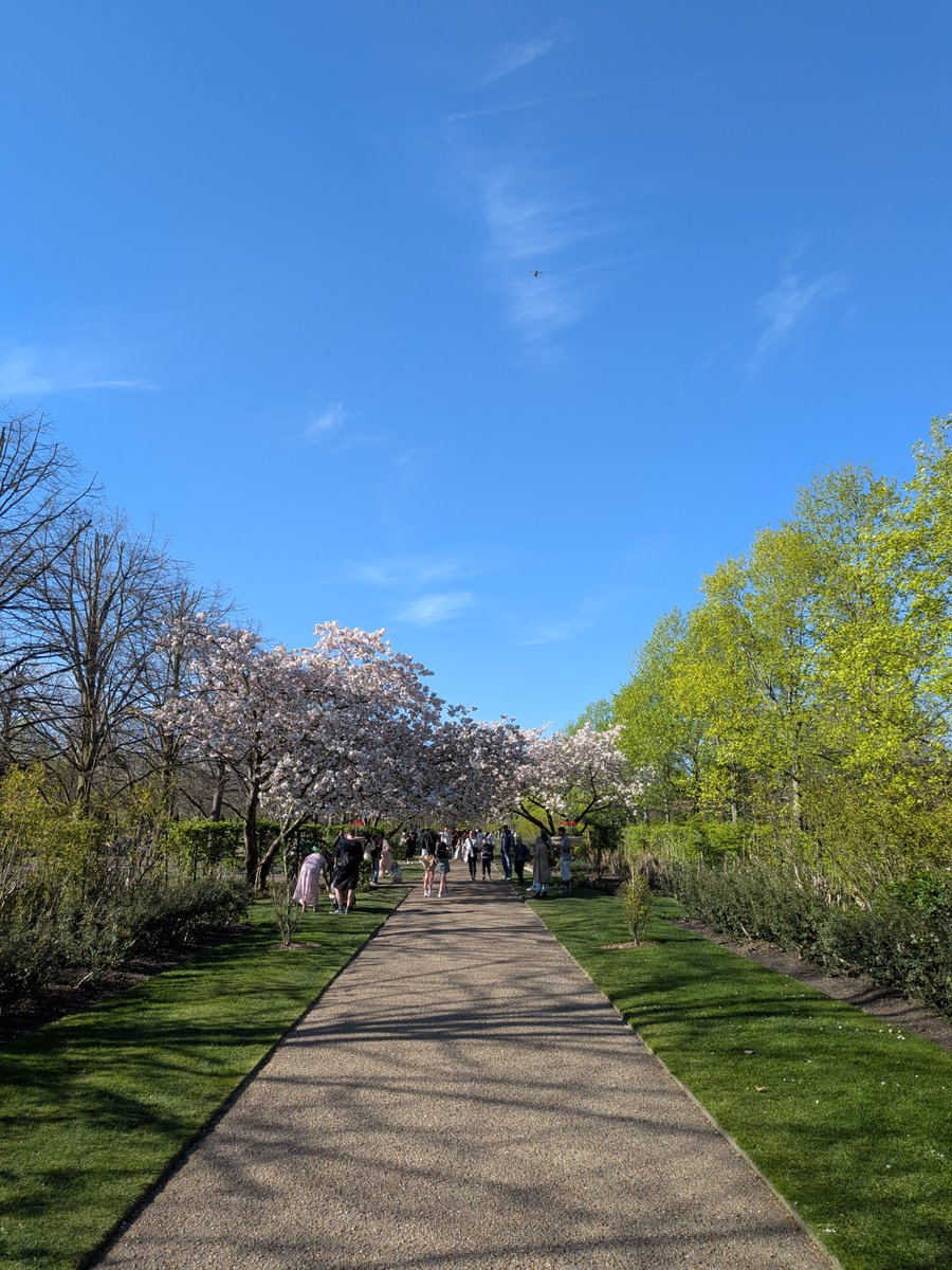 Ahmed Ragab tweet media