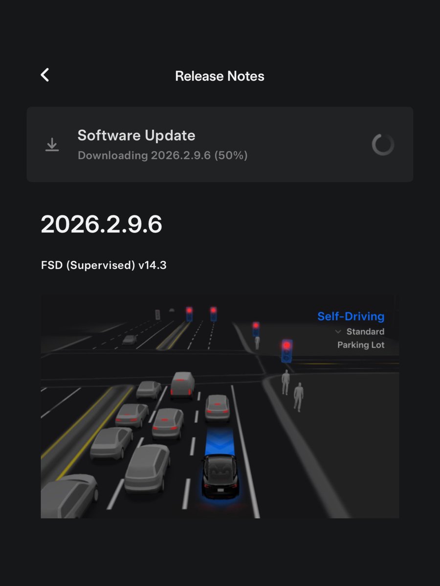 Nic Cruz Patane tweet media