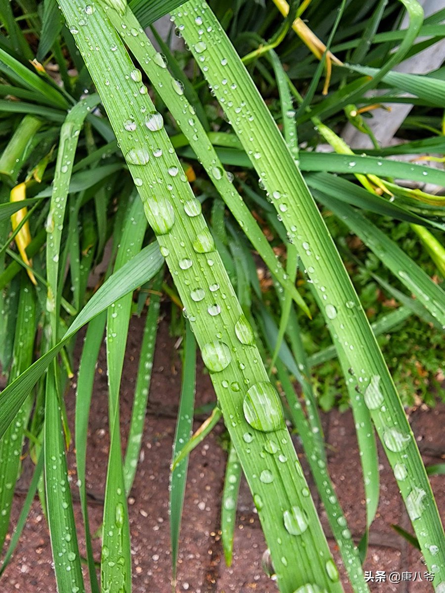 Lisa Stalin tweet media