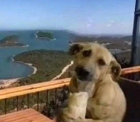 yehetohorat tweet media