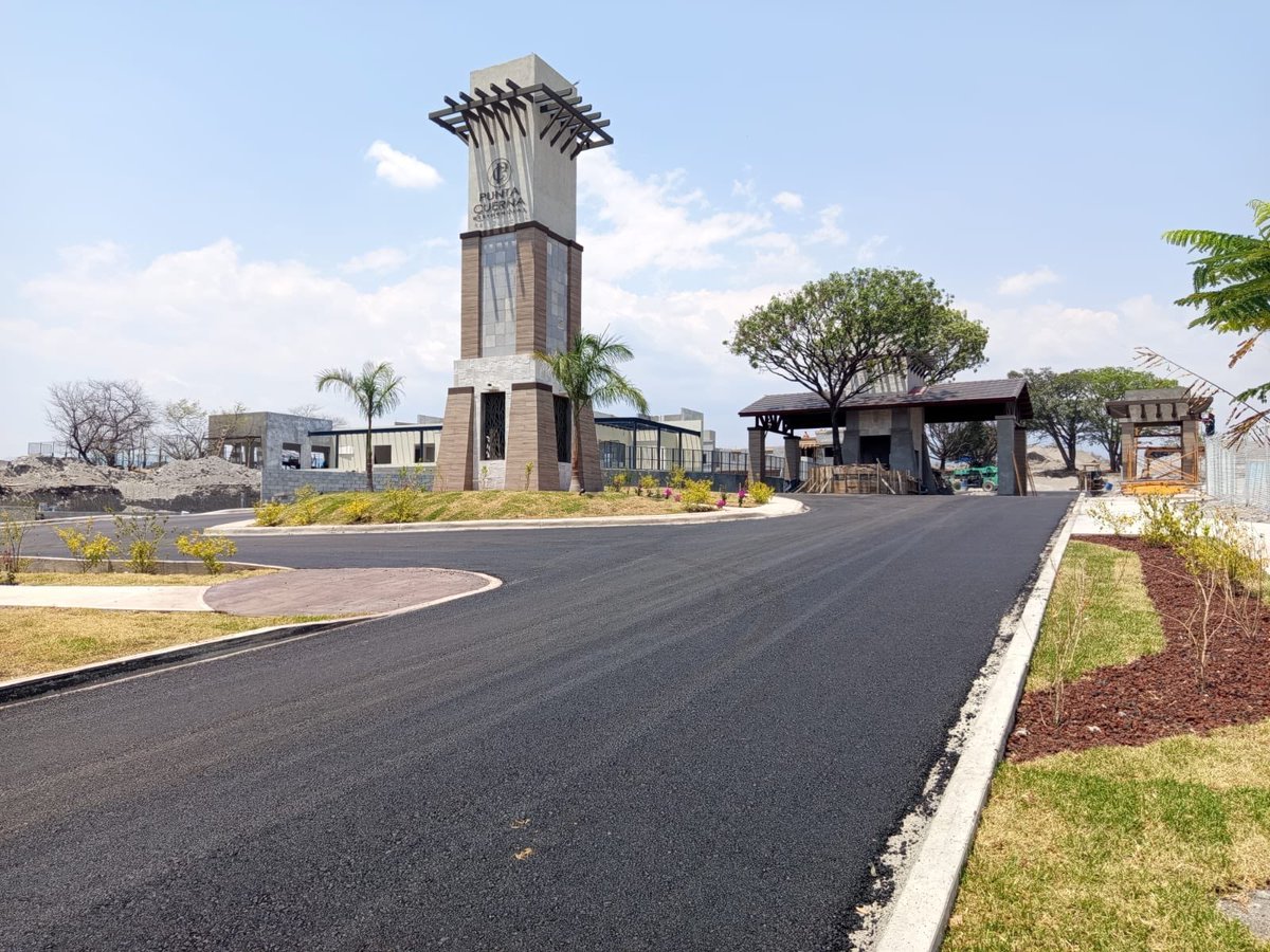 @Vinte_Mx tweet media