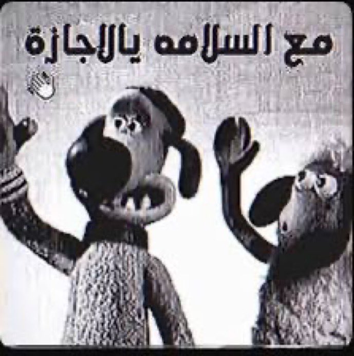 🐻 أحمد tweet media