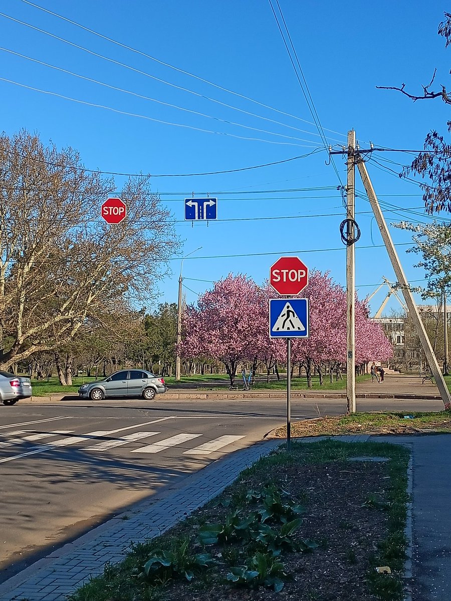 `літосінь𖤓 tweet media