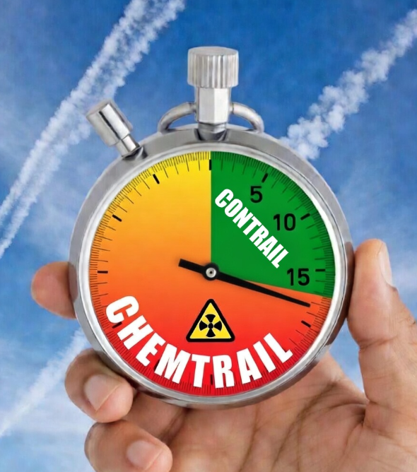 Missed Information tweet media