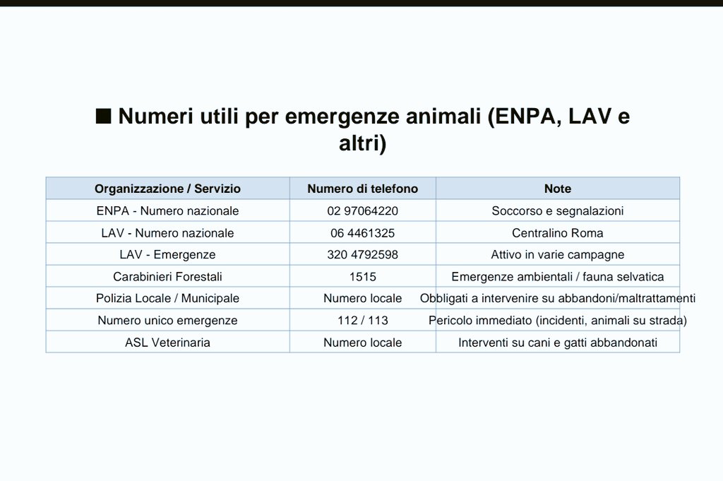 Simona 🇮🇹 tweet media