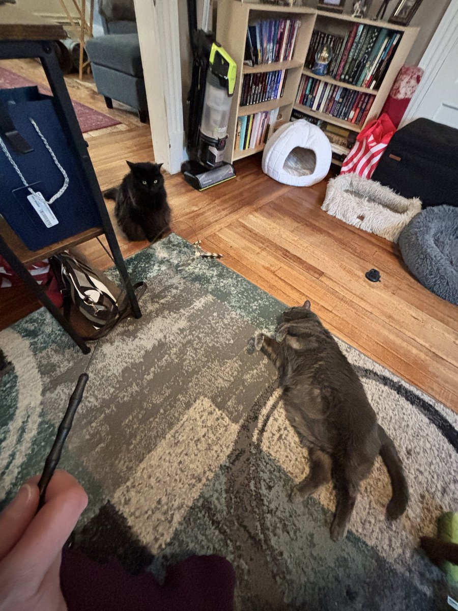 Elizabeth Bramon tweet media