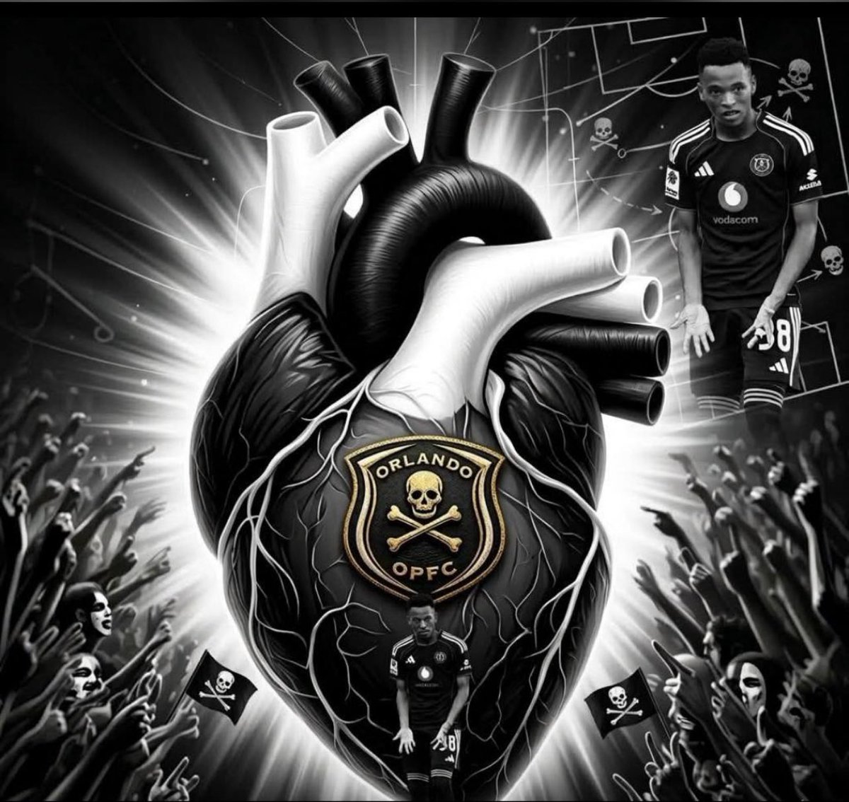 Tulip 🌷 tweet media