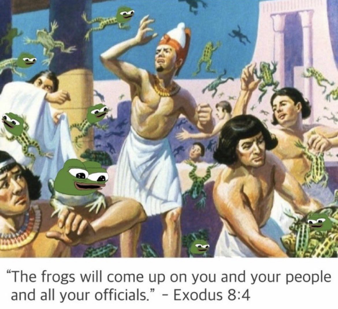 KΣrbinator🍀🐸🪓 tweet media