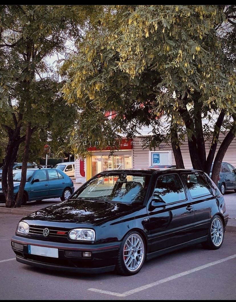 GallusWen tweet media