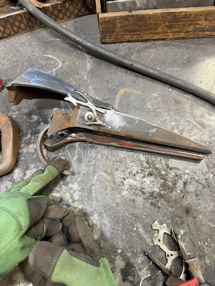 Trisha M-Bourbeau tweet media