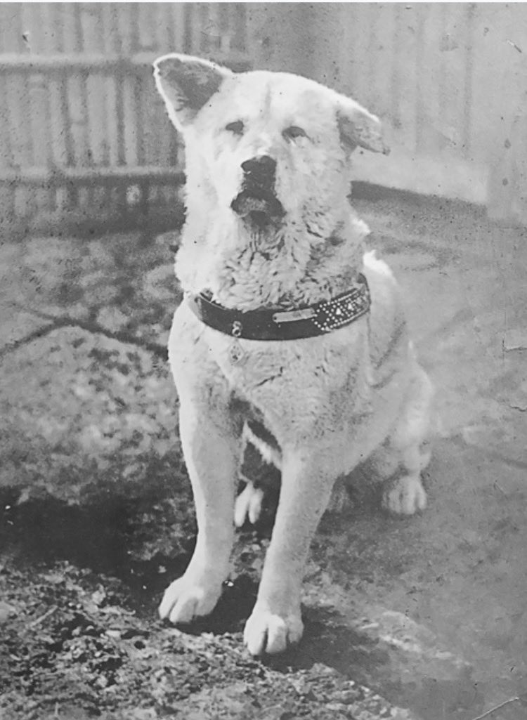 おにょへさん　いきなりDMはNO松本零士さん、水木一郎さん、団時朗さんは永遠 tweet media