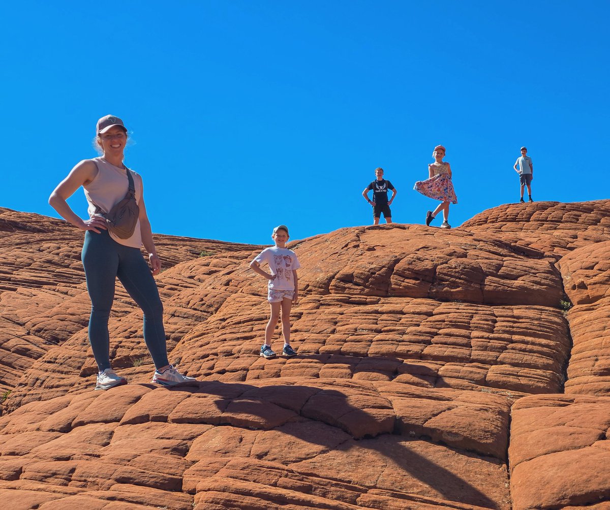 Brigham's Burner tweet media