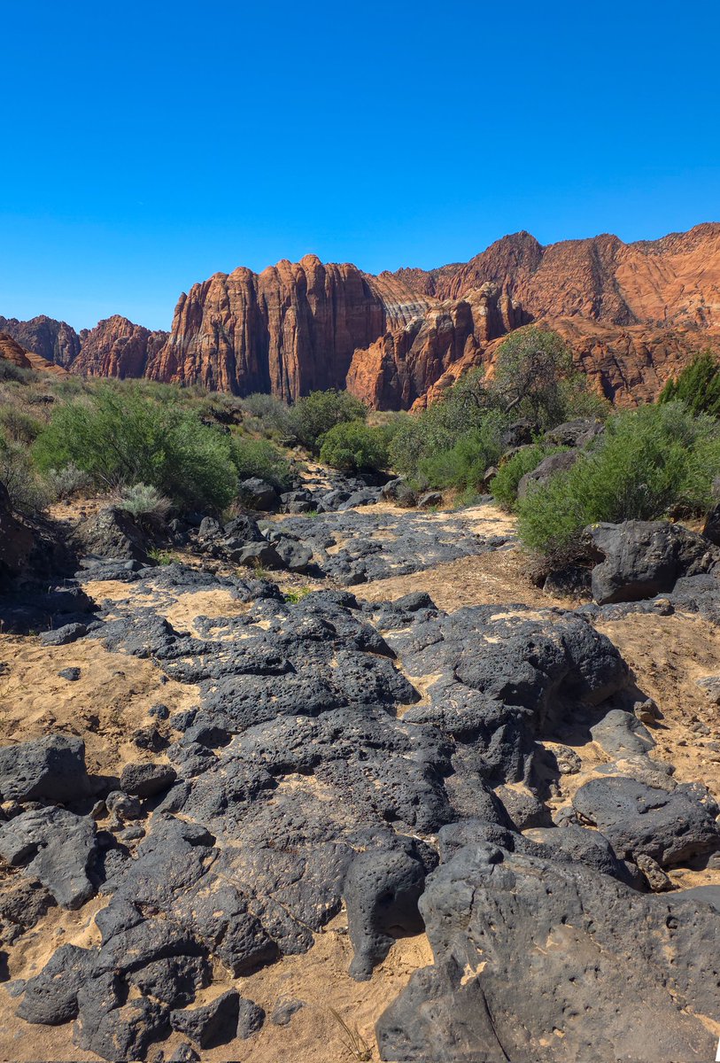 Brigham's Burner tweet media