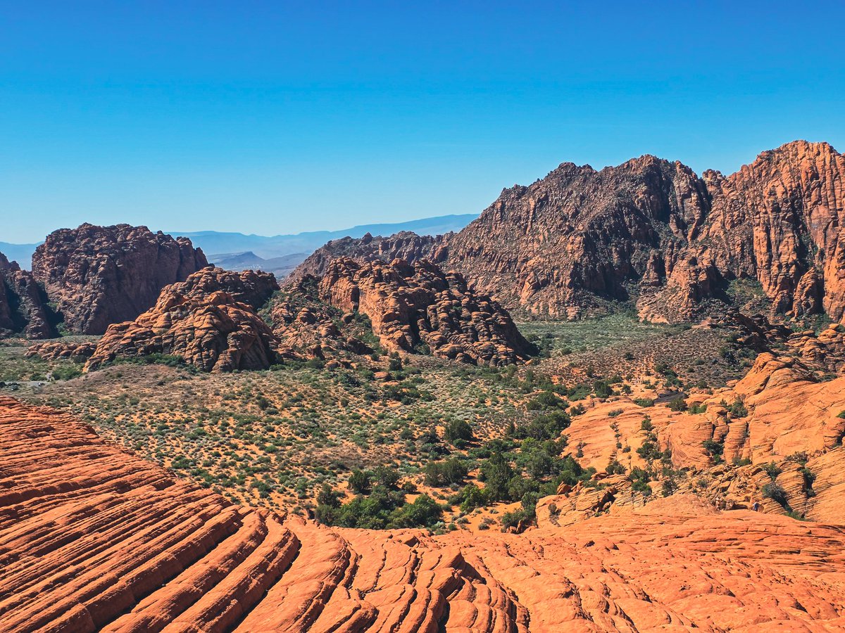 Brigham's Burner tweet media