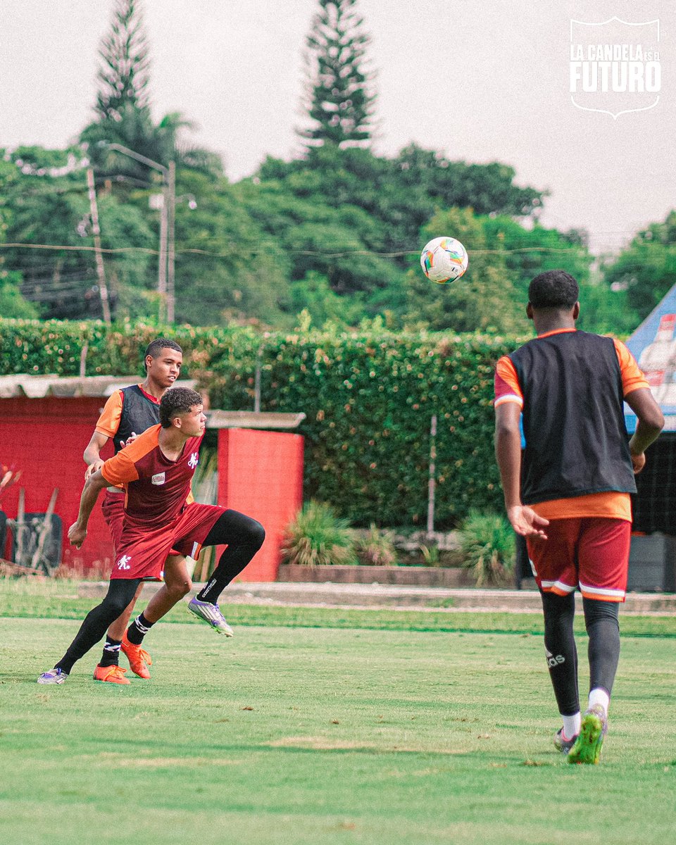 Categorías de Formación América de Cali tweet media