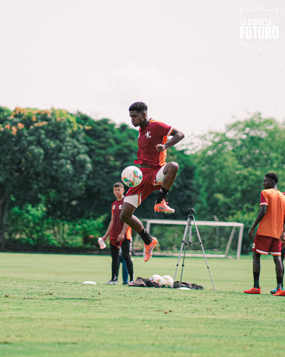 Categorías de Formación América de Cali tweet media