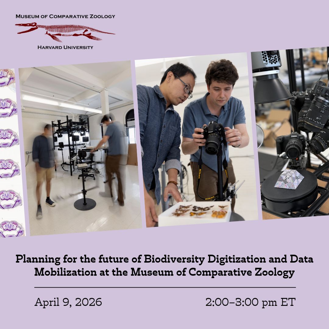 iDigBio tweet media