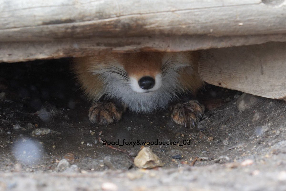 Alex CofPow🌳 tweet media