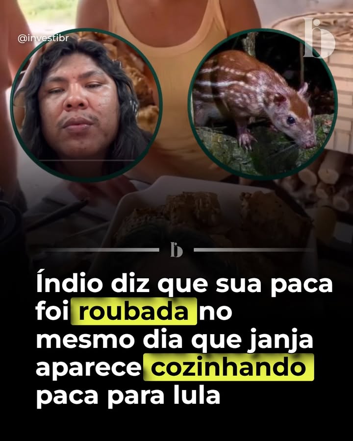 Escrevi.com tweet media