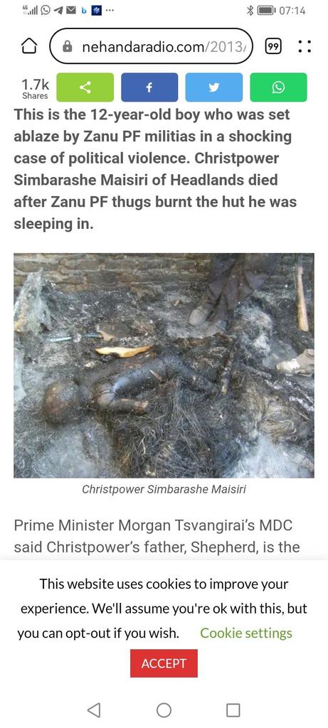 Nhamodzenyika Tururu Tumbare tweet media