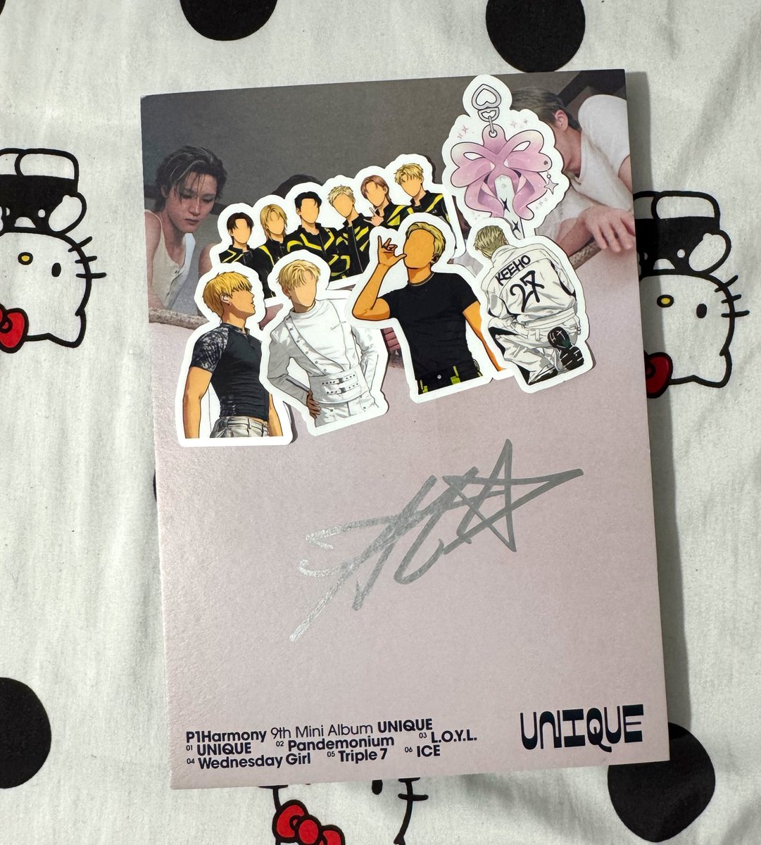 winavanrooy's tweet image. bought an album from someone on vinted and they gave me the cutest most wanted stickers and even the keyring ☹️🥹 so cuteee