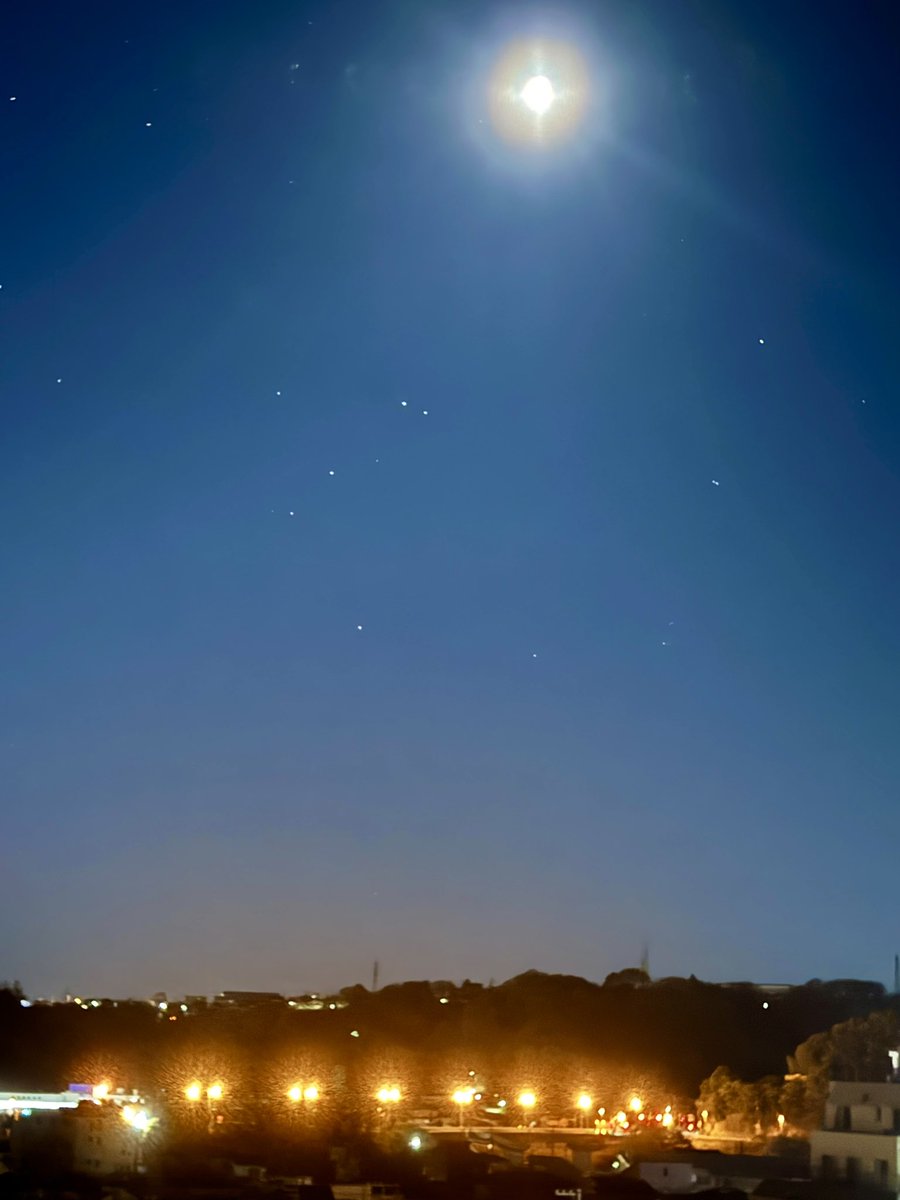 与太郎🇯🇵4 tweet media