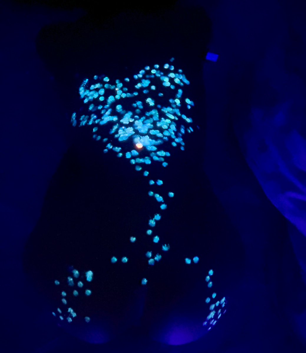 小狗蛇 tweet media