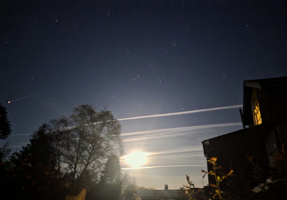 Gracie💙 tweet media