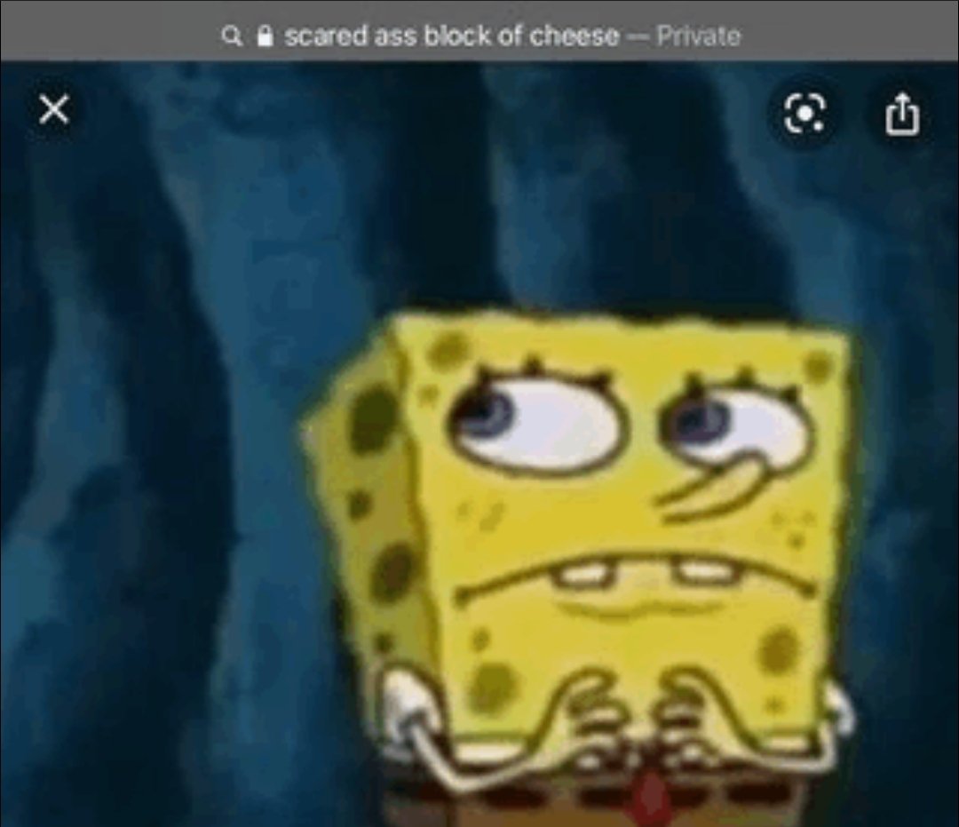 Tengu 🇧🇷 tweet media