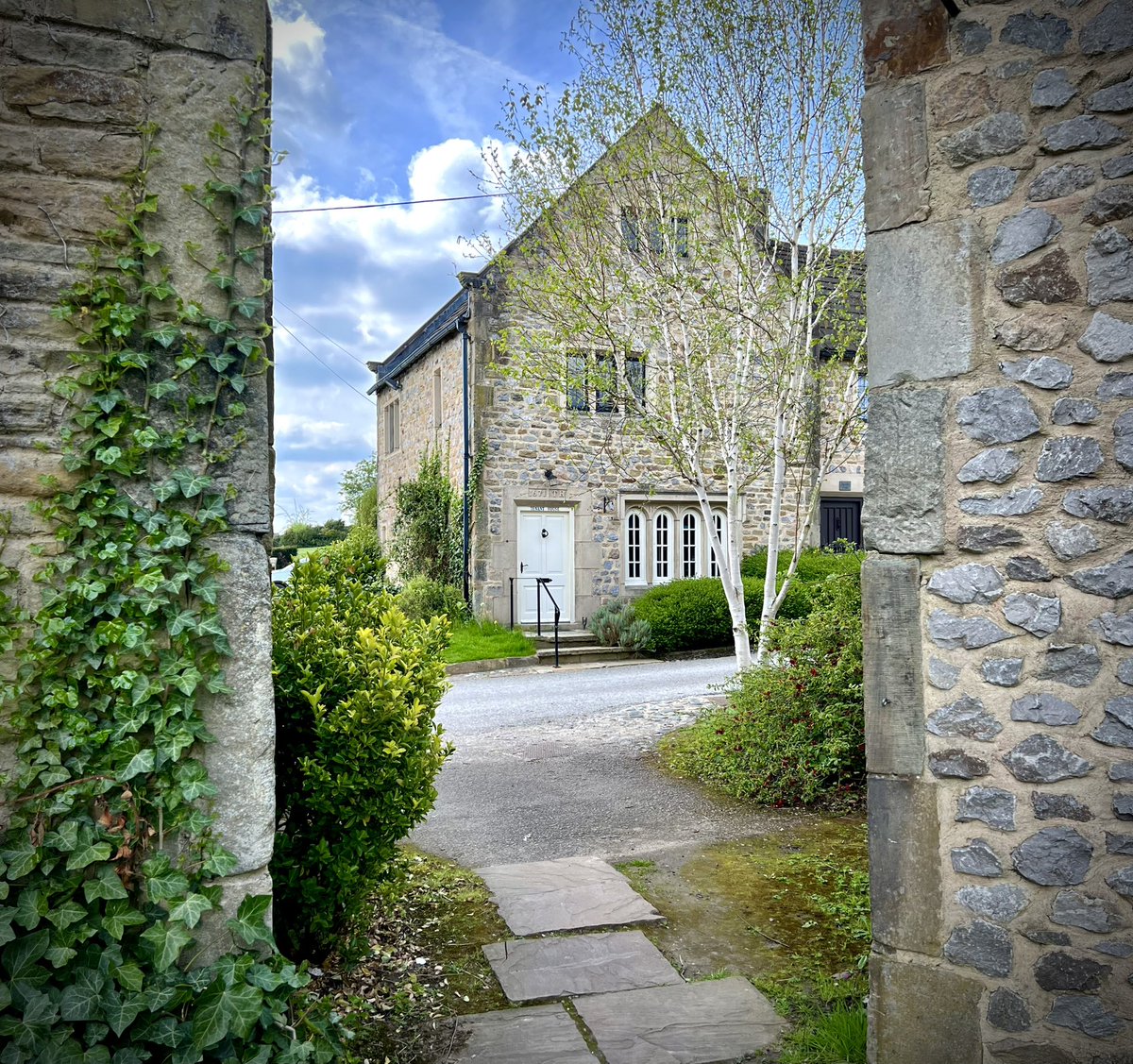 Reece Dinsdale tweet media